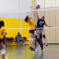 5 Best Ankle Brace for Volleyball Players