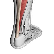 7 Useful Tips On How To Prevent Achilles Tendon Injury