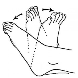 How Does Ankle Pump Exercises Help 