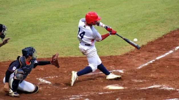 baseball ankle brace